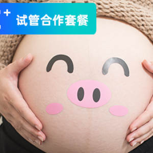 C试管套餐